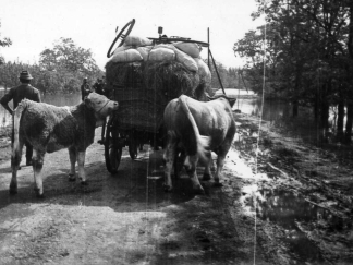 1970. Tiszai árvíz, Szamosszeg (Fotó: Tankó István)