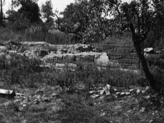 Harkány, 1946. augusztus 9.