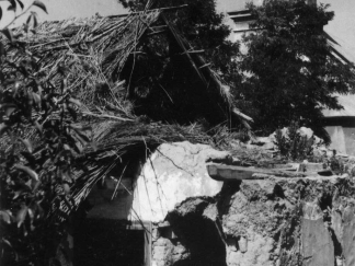 Vereb, 1946. június 9.